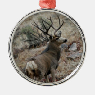 Ornement En Métal Mâle géant de cerfs communs de mule