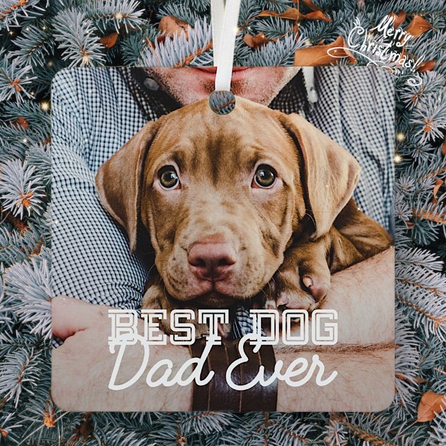 Ornement En Métal Meilleur Chien Papa Jamais Moderne Personnalisé An (Créateur téléchargé)