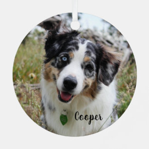 Ornement En Métal Merle Australian Shepherd Puppy Ceramic Orament