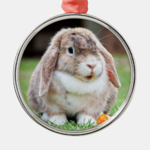 Ornement En Métal Mignonne Holland Lop Lapin Lapin Nain Lapin