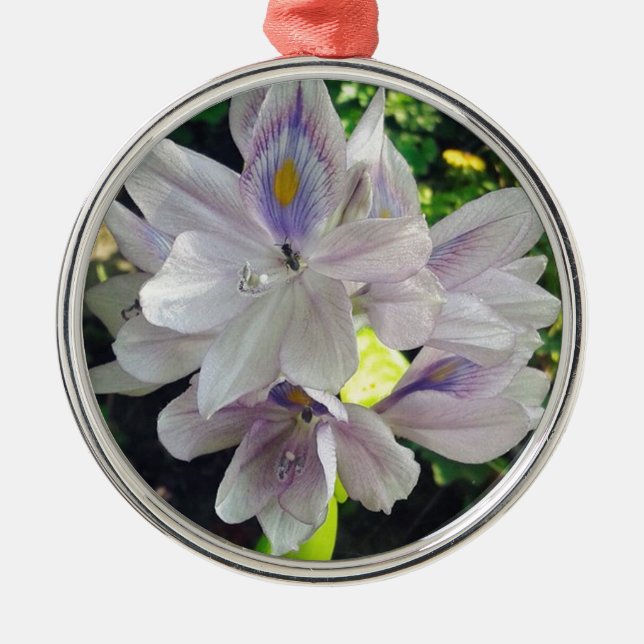 Ornement En Métal Mon petit plante (Devant)