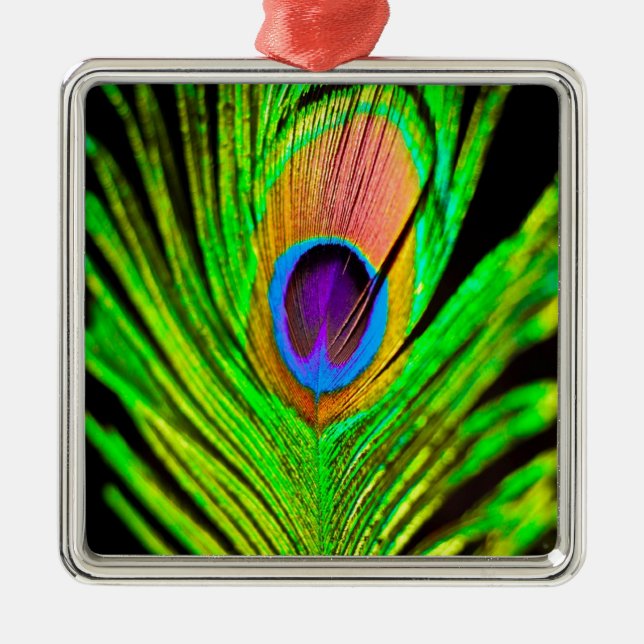 Ornement En Métal Neon Colors Peacock Feather (Devant)