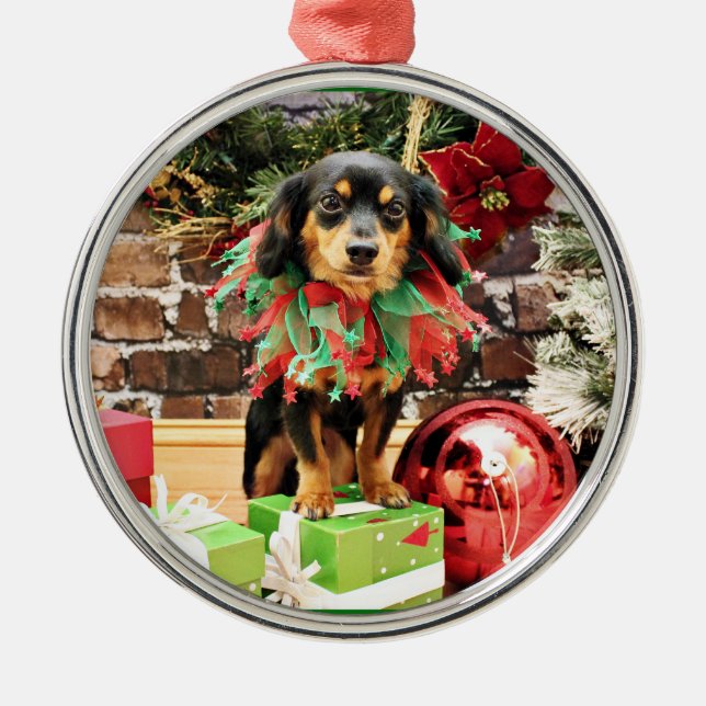 Ornement En Métal Noël - Chiweenie - Titus (Devant)