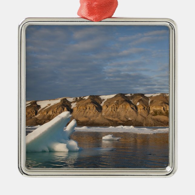 Ornement En Métal Norvège, Svalbard, île de Spitsbergen, Cadre (Devant)