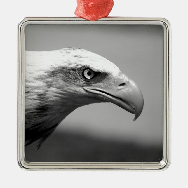 Ornement En Métal Oeil d'aigle noir et blanc (Devant)