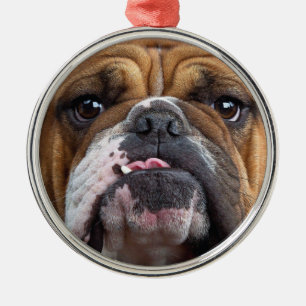 Ornement En Métal Oreillers à lancer de Bulldog anglais
