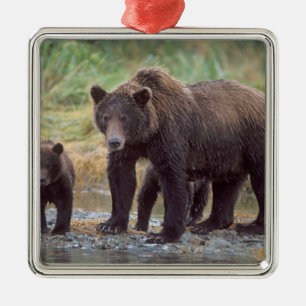 Ornement En Métal ours brun, Ursus arctos, grizzli, Ursus 3