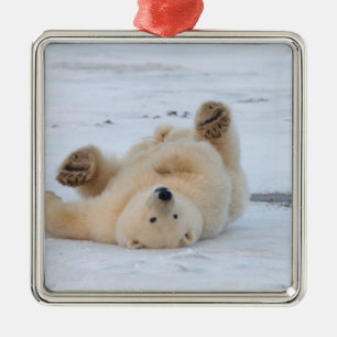 Ornement En Métal ours polaire, Ursus maritimus, ourson roulant 3