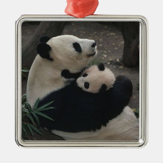 Ornement En Métal Panda Momma Et Bébé (Devant)