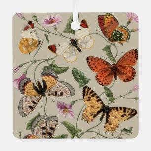 Ornement En Métal Papillon Moth Nature Collection Dessin