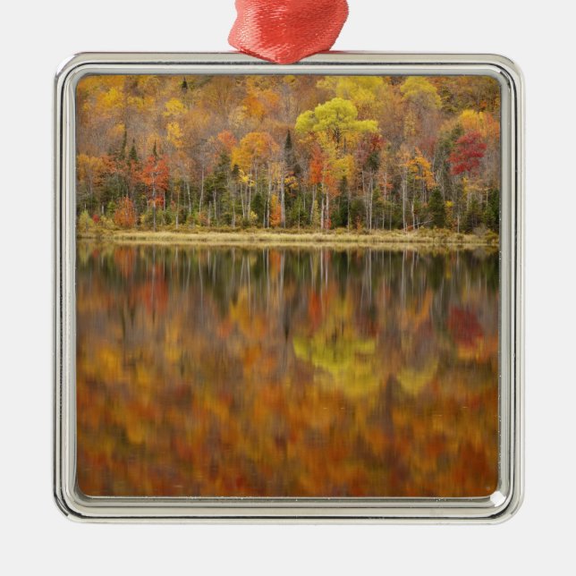 Ornement En Métal Paysage d'automne avec lac, Vermont, États-Unis (Devant)