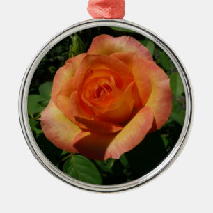 Ornement En Métal Peach Rose Orange Floral Photographie