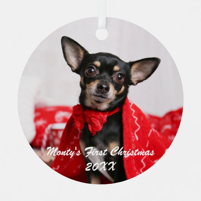 Ornement En Métal Pet Premier Noël (Recto)