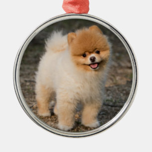 Ornement En Métal Petit Chien roux roumain Brown