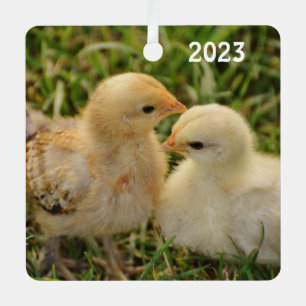 Ornement En Métal Petits bébés animaux de compagnie