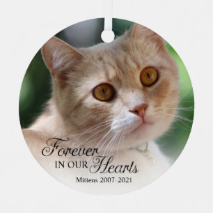 Ornement En Métal Photo de chat pour toujours dans nos cœurs