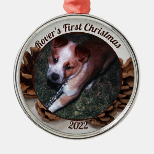 Ornement En Métal Pinecones Première photo de Noël de l'animal de co