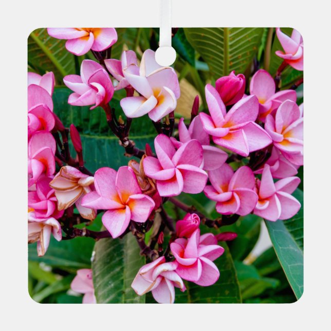 Ornement En Métal Pink Plumeria (Recto)