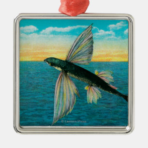 Ornement En Métal Poissons de vol à l'île de Catalina