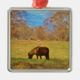 Ornement En Métal Pony miniature Brown