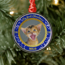 Première photo de Noël de Kitten personnalisé
