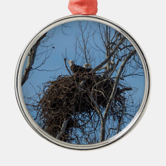 Ornement En Métal Problème de double aigle (Devant)