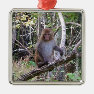 Ornement En Métal rhesus macaque