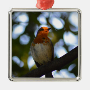 Ornement En Métal Robin