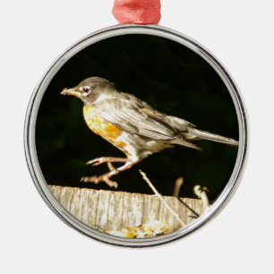 Ornement En Métal Robin Rouge Bobbin