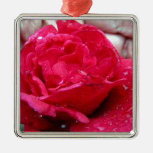 Ornement En Métal Rose rouge