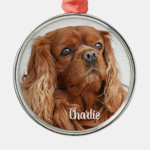 Ornement En Métal Ruby Cavalier King Charles Spaniel Chien Metal Orn