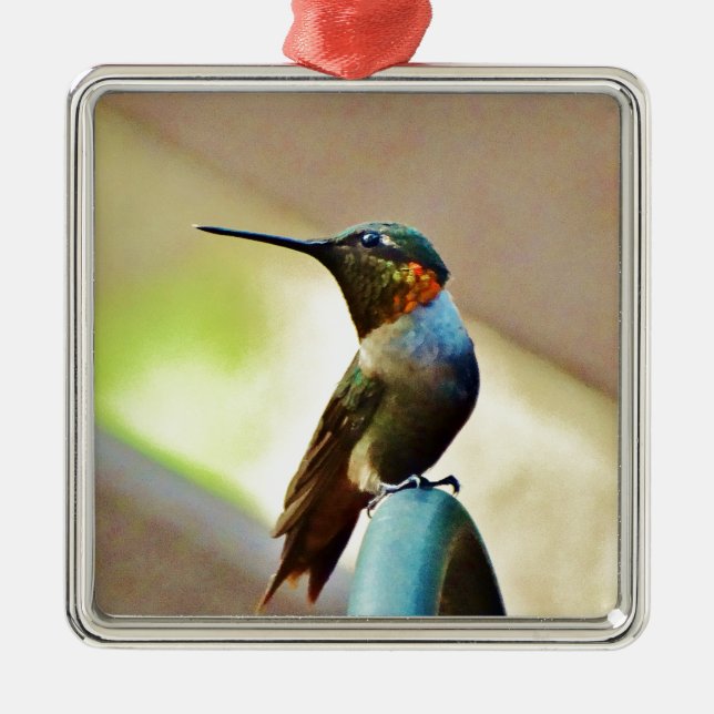 Ornement En Métal Ruby perché et petit colibri vert (Devant)
