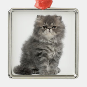 Ornement En Métal Séance persane de chaton (2 mois)