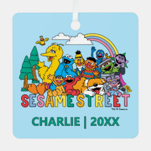 Ornement En Métal Sesame Street   Vague Arc-en-ciel