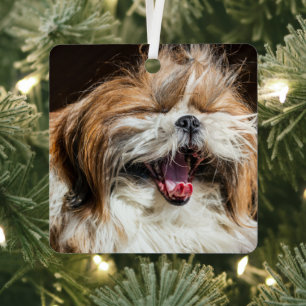 Ornement En Métal Shih tzu hurle rire drôle mignon