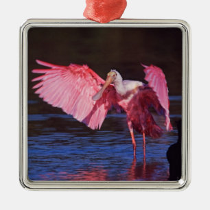 Ornement En Métal Spatule rosée (Ajaia ajaja) avec Cormoran