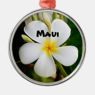 Ornement En Métal Spectaculaire Maui