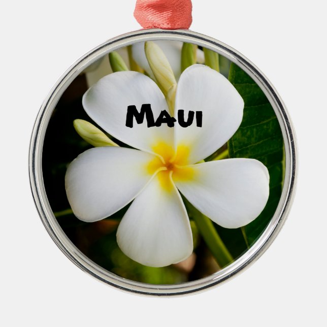 Ornement En Métal Spectaculaire Maui (Devant)