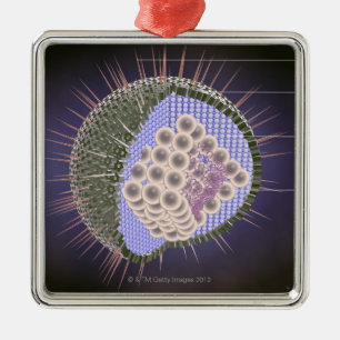 Ornement En Métal Structure de virus du herpès