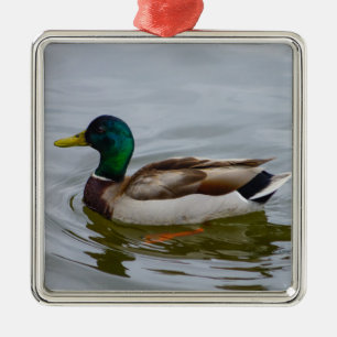 Ornement En Métal Swim Mallard Swim