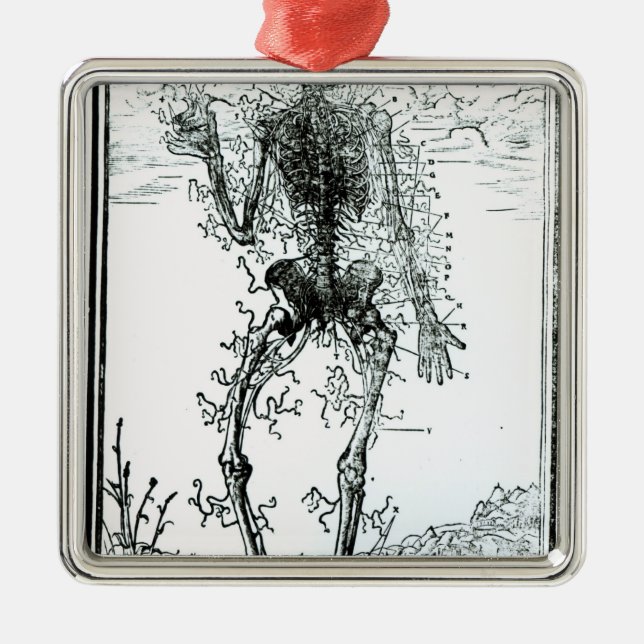 Ornement En Métal Système vasculaire du corps (Devant)