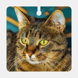 Ornement En Métal Tabby Gris Chat Métal Ornement