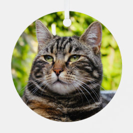 Ornement En Métal Tabby Gris Chat Métal Ornement