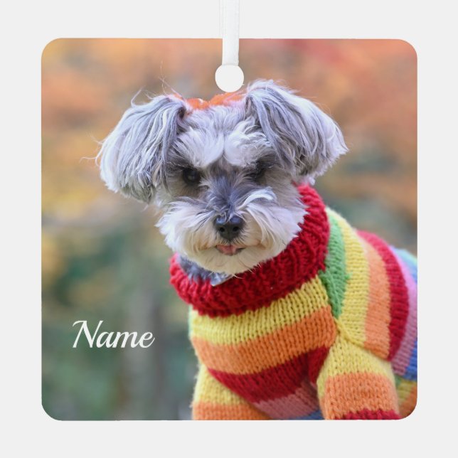 Ornement En Métal Teacup Schnauzer Chien chiot dans un pull (Verso)