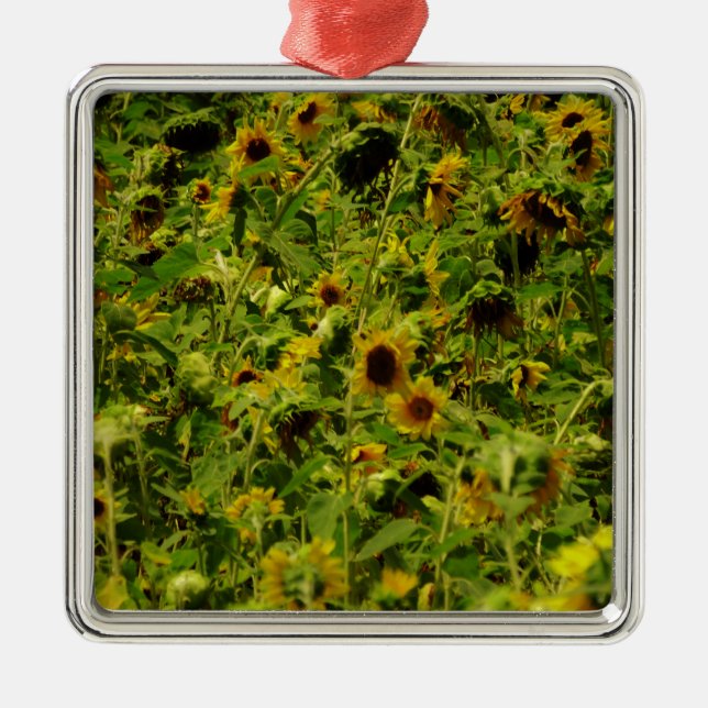 Ornement En Métal Terrain de tournesol (Devant)