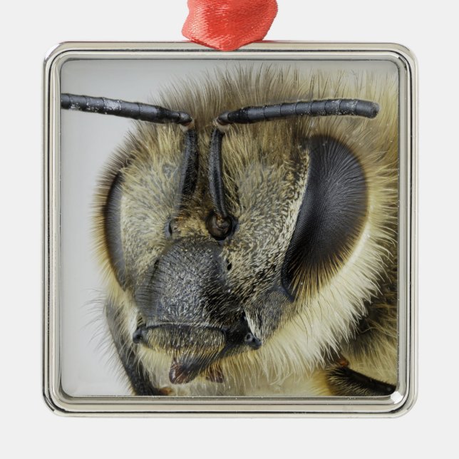 Ornement En Métal Tête d'abeille (Devant)