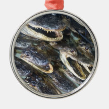 Tête d'alligator