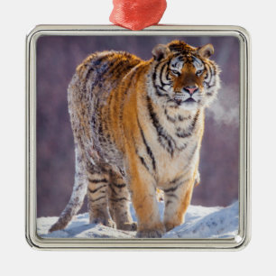 Ornement En Métal Tigre de Sibérie dans la neige, Chine