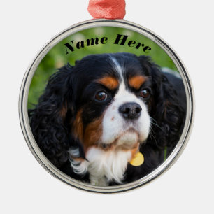 Ornement En Métal Tri Color Cavalier King Charles Spaniel Dog