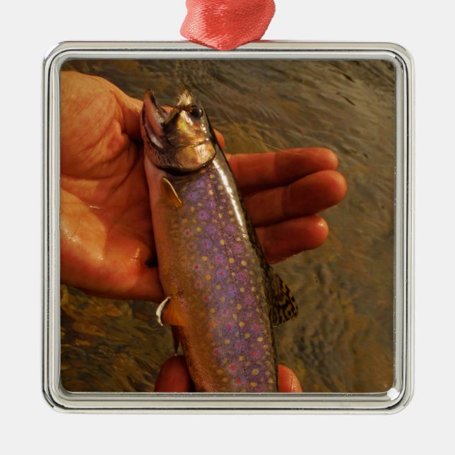 Ornement En Métal Trout à Hands (Devant)